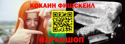 стаф Гатчина