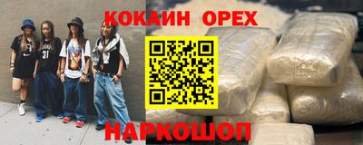 стаф Гатчина