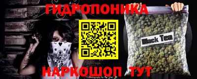стаф Гатчина