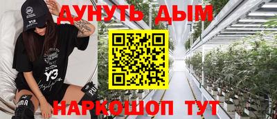 стаф Гатчина