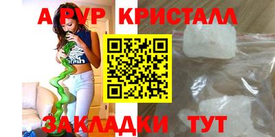стаф Гатчина