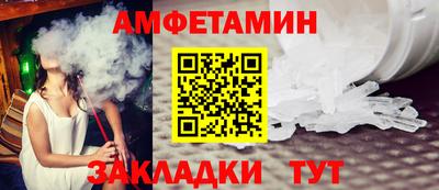 стаф Гатчина