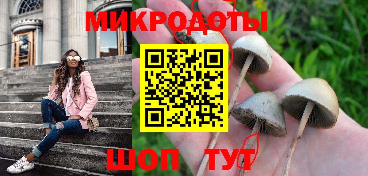 Норильск  Галлюциногенные грибы Psilocybe  Псилоцибиновые грибы GOLDEN TEACHER  Вход с VPN 