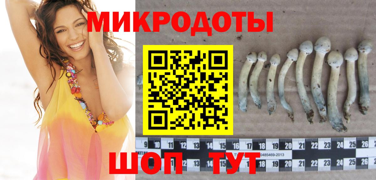 Псилоцибиновые грибы мицелий Норильск